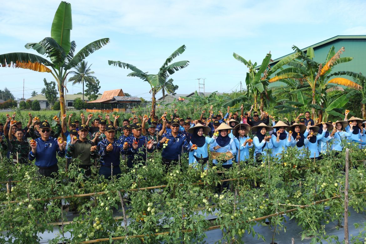 Ketahanan Pangan di Tengah Tantangan: Panen di Lanud Raden Sadjad Natuna